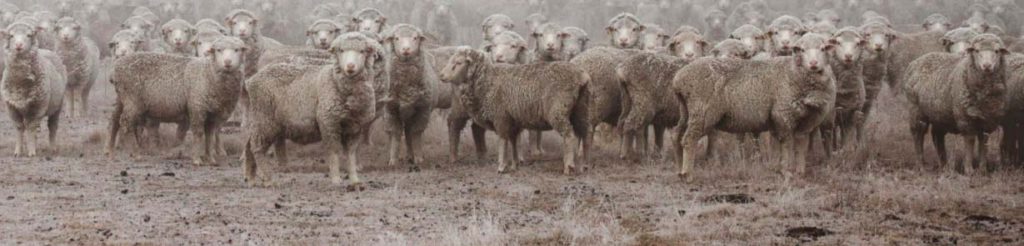 Icebreaker base layer - uomo/donna